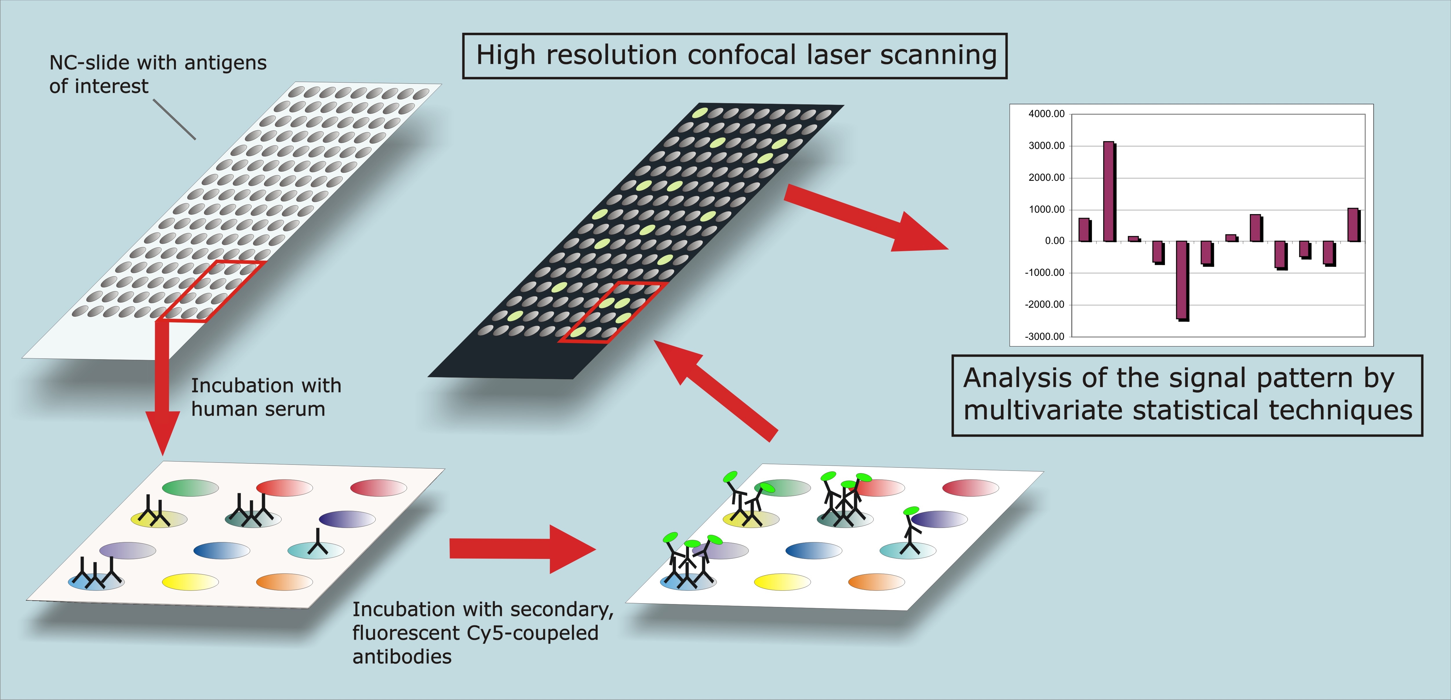 Experimental Ophthalmology Mainz - Protein Microarray techniques